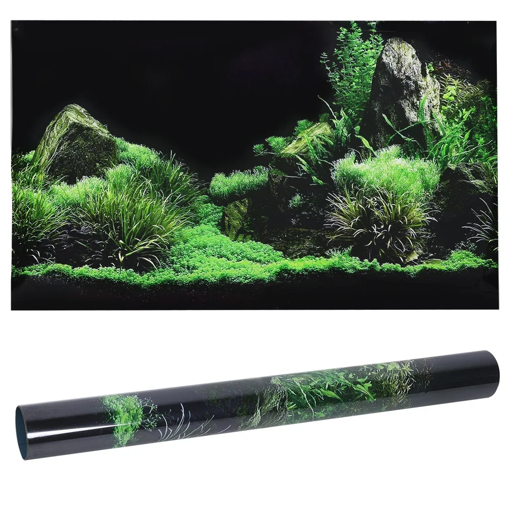 Aquarium Fish Only - Tło do akwarium 3d plakat naklejka