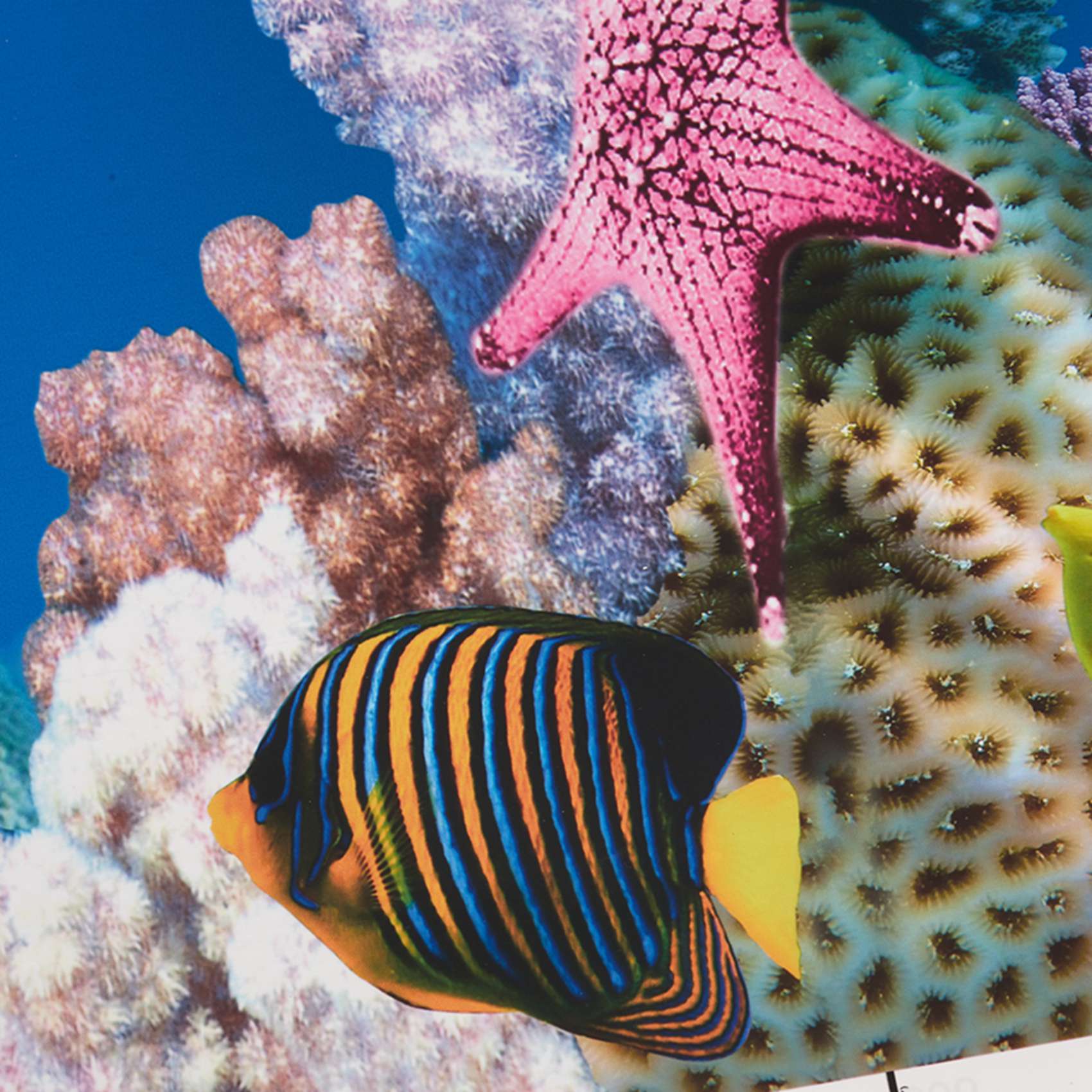 Aquarium Fish Wallpaper - Papier tło do akwarium ABWR, obraz