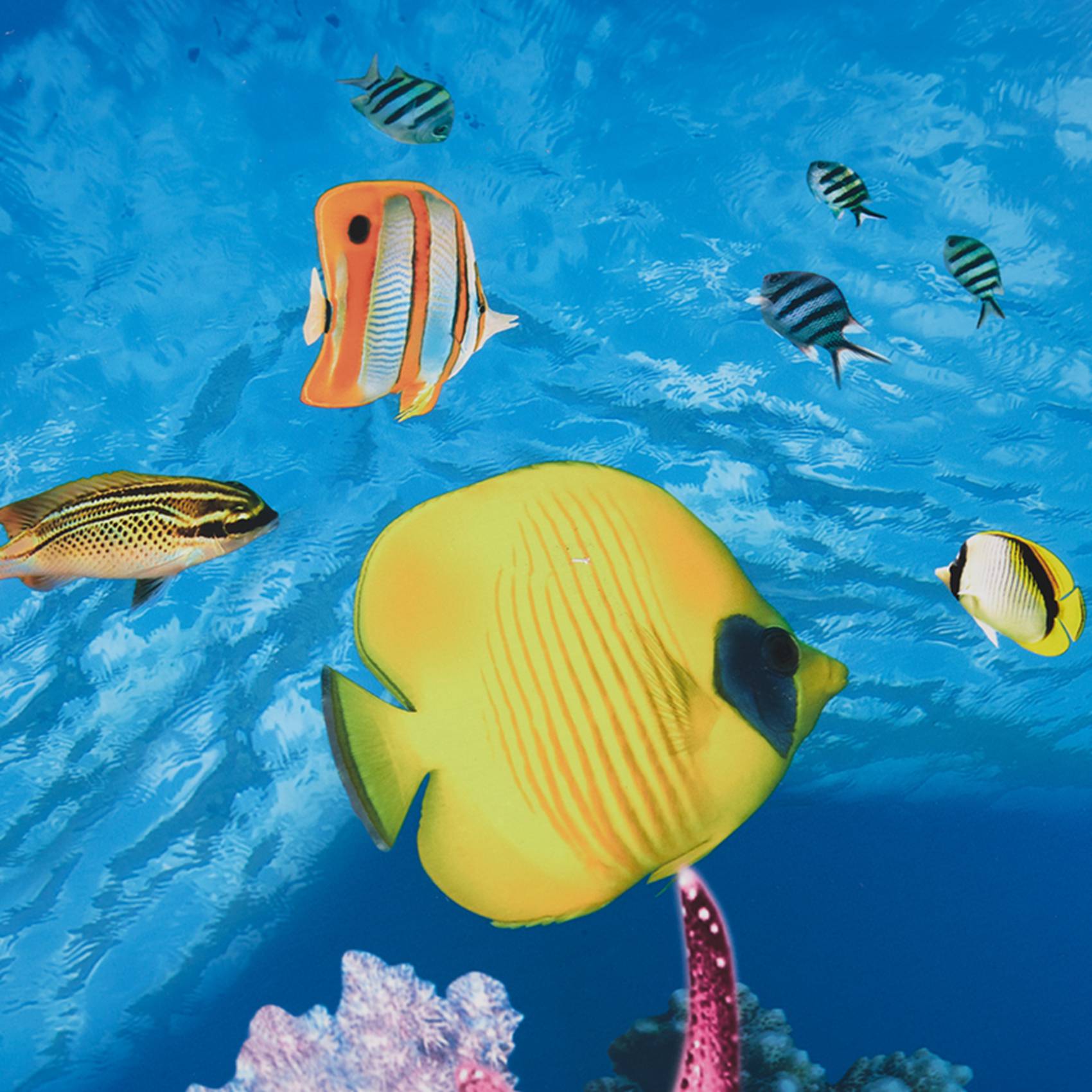Aquarium Fish Wallpaper Hd - Papier do akwarium BAAU, tło akwariowe