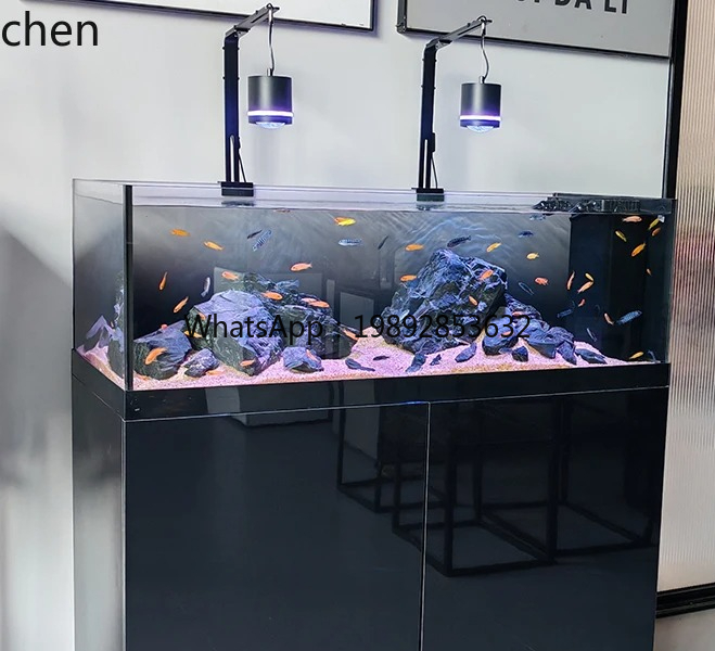 Wild Aquarium Fish - Akwarium Stream Tank Native Wild Collection