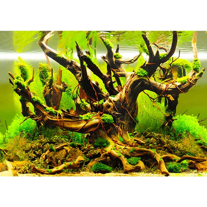 Aquarium Fish Wallpaper - Dekoracja do akwarium 50 cm, wodoodporna,