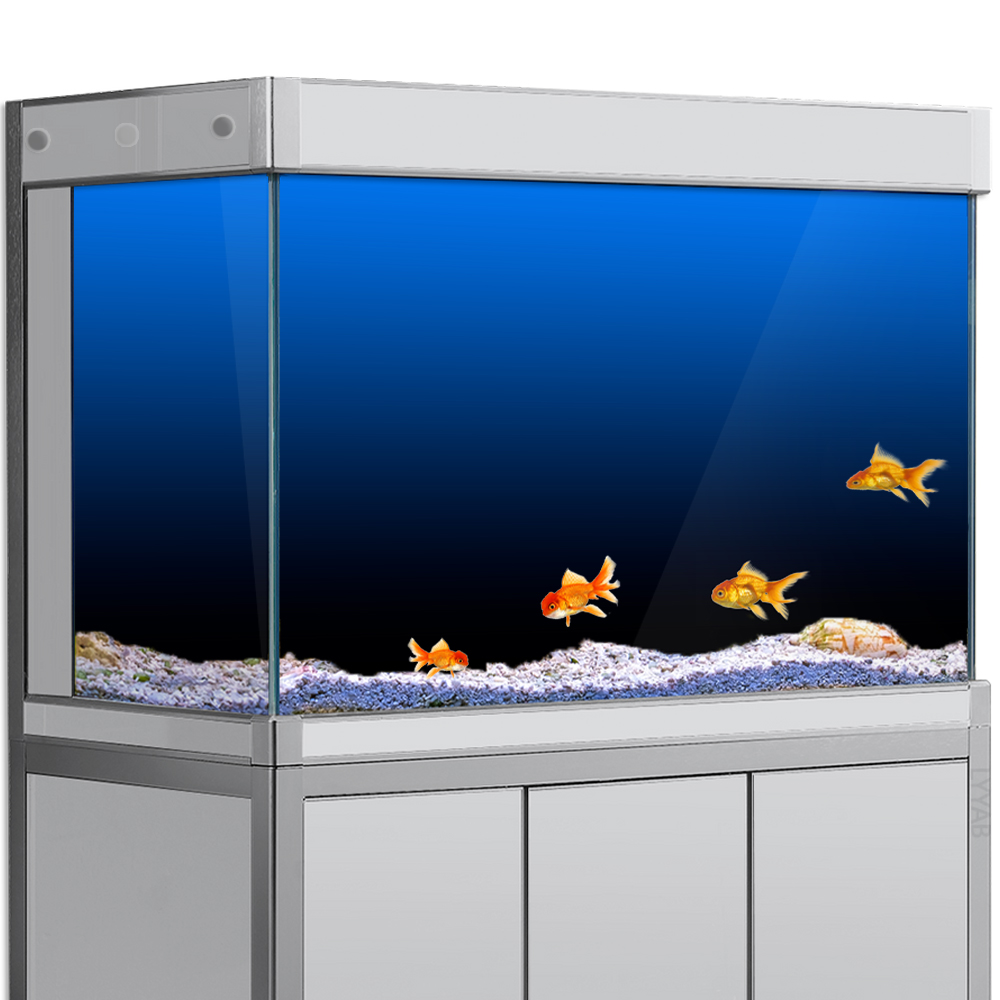 Aquarium Fish Wallpaper - Naklejka w tle akwarium Czarny Zielony