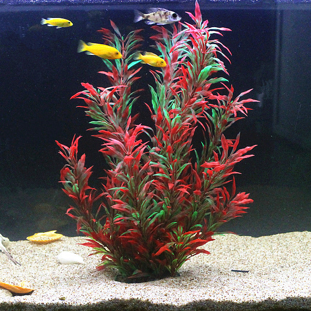 Aquarium Fish Only - 50CM sztuczne akwarium rzadkie rośliny akwarium