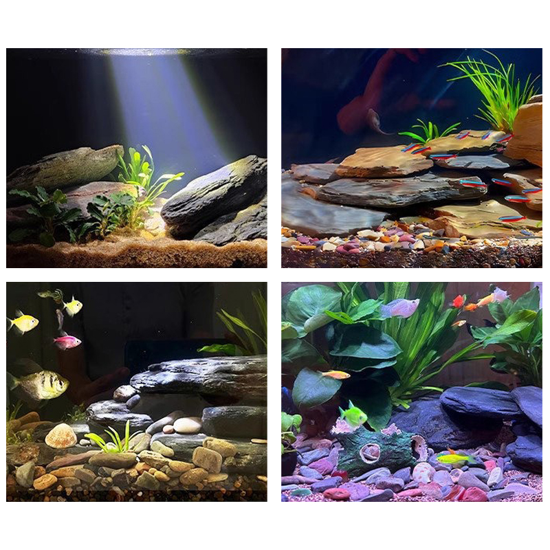 Zestaw kamieni do akwarium 500 – Aquarium Fish Only recenzja i cena