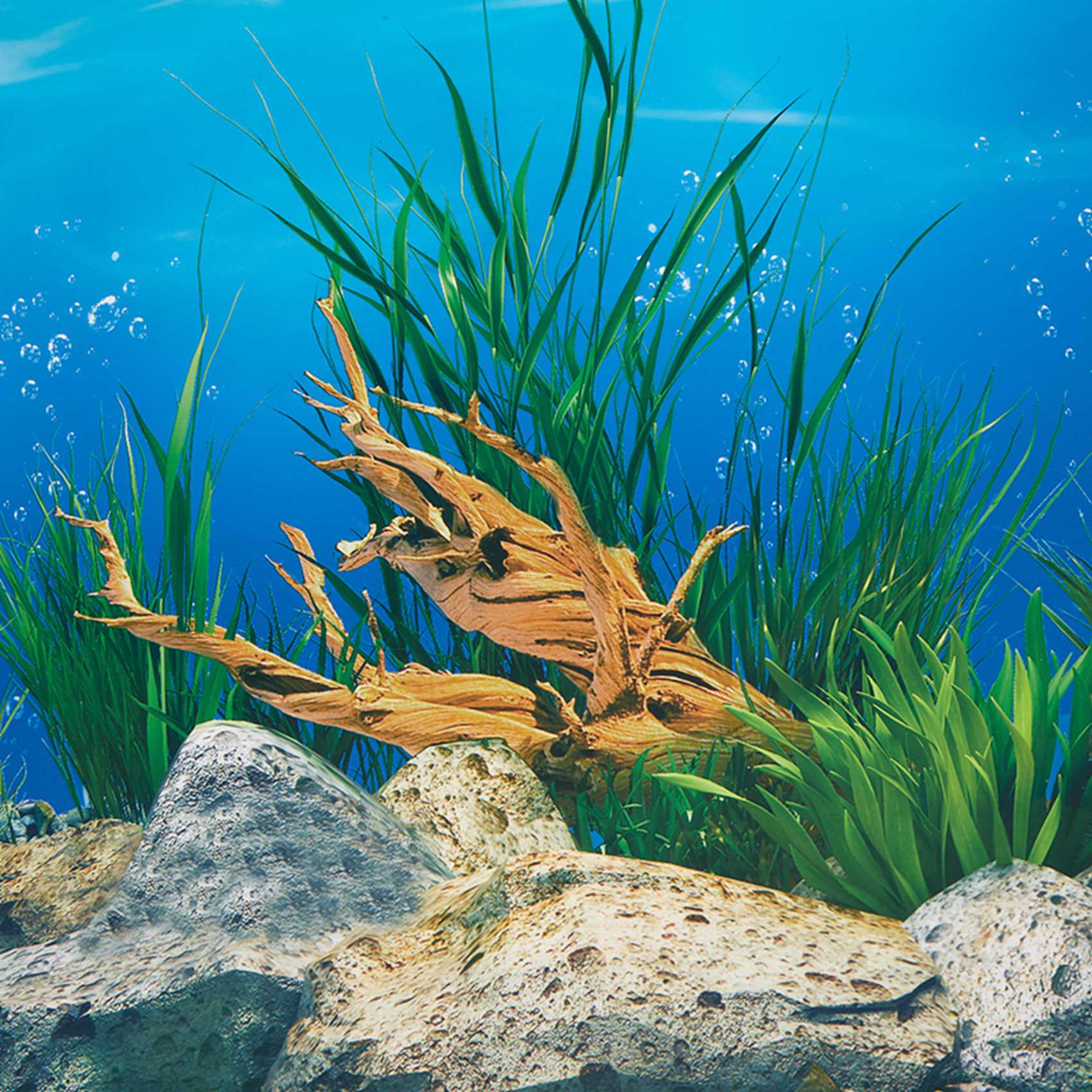 Papier tło do akwarium ABWR, o – Aquarium Fish Wallpaper recenzja i cena