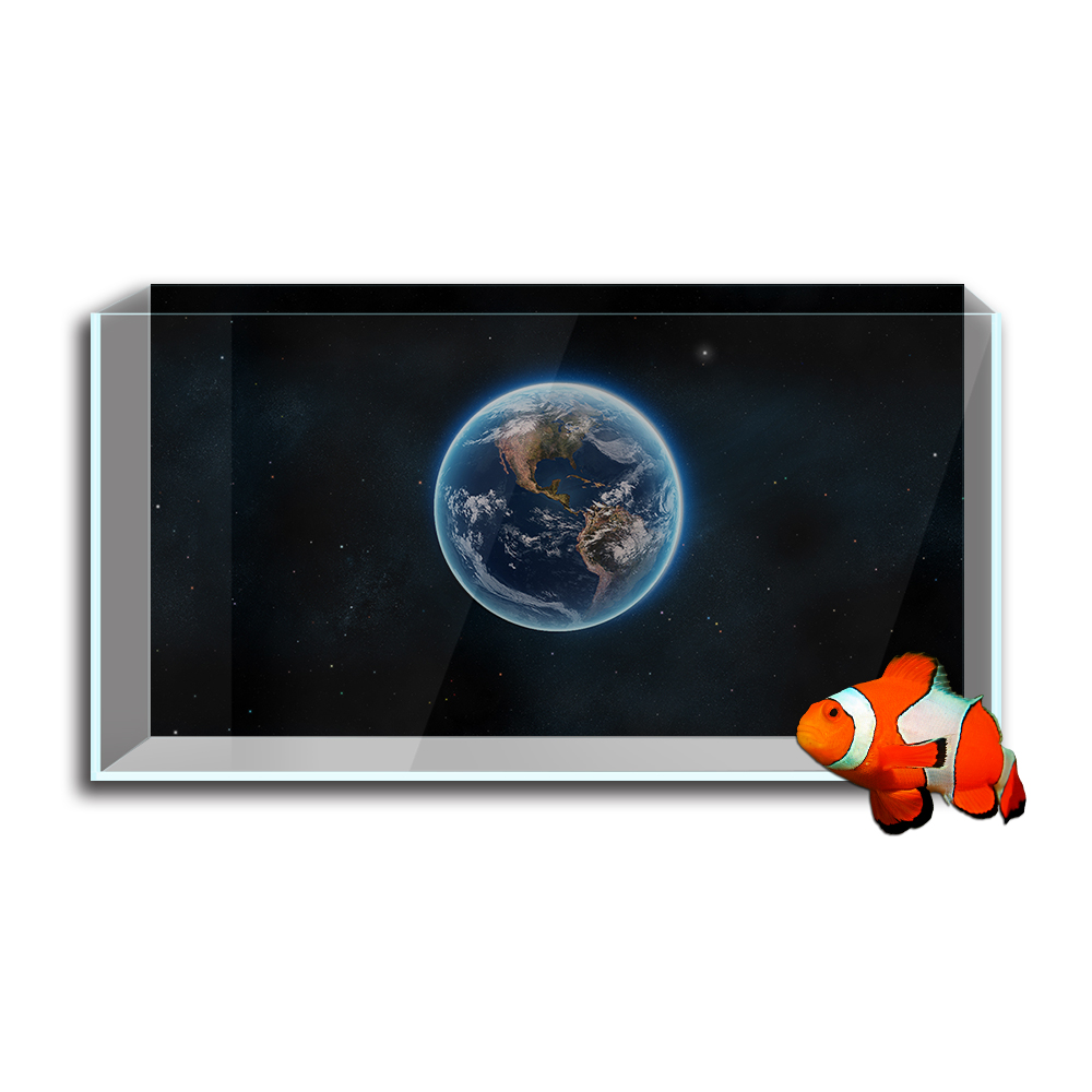 Naklejka w tle akwarium, plane – Aquarium Fish Wallpaper recenzja i cena