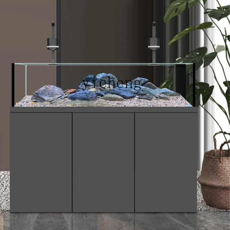 Akwarium ABB Native Wild Strea – Wild Aquarium Fish recenzja i cena