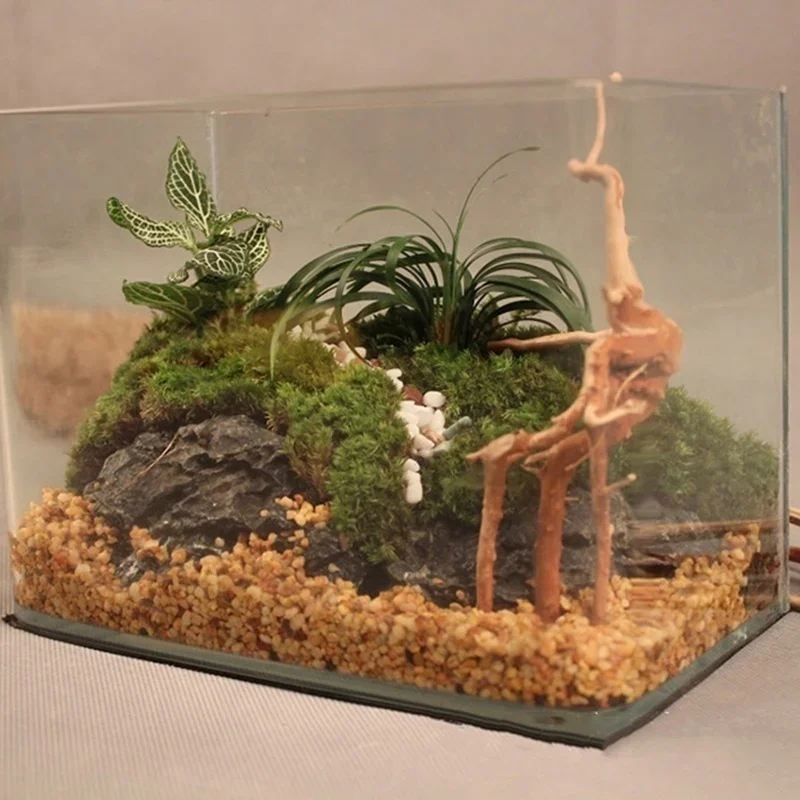 Naturalne drzewo pnia Driftwoo – Aquarium Fish Only recenzja i cena