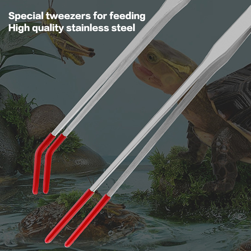 Narzędzia do konserwacji akwar – Aquarium Fish Breeding recenzja i cena