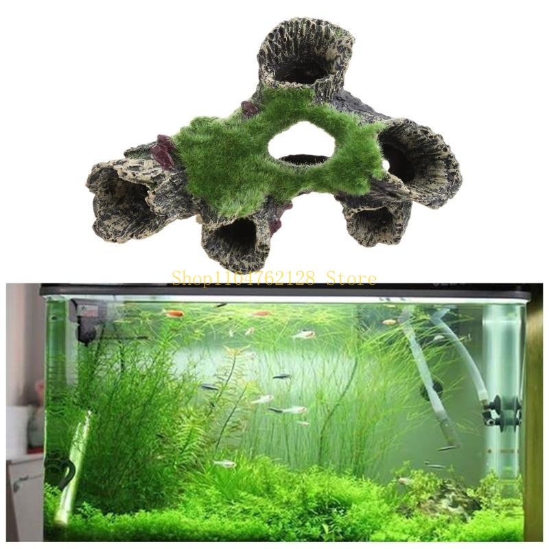Ryba do dekoracji zbiornika Ak – Aquarium Fish For Sale recenzja i cena