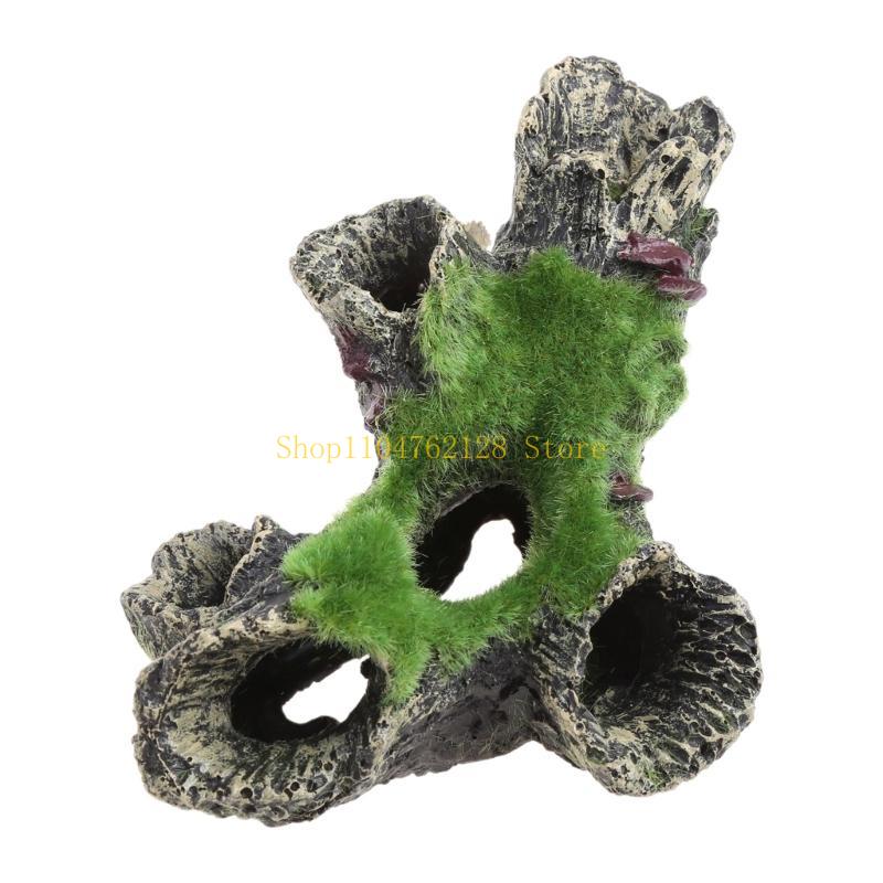 Ryba do dekoracji zbiornika Ak – Aquarium Fish For Sale recenzja i cena