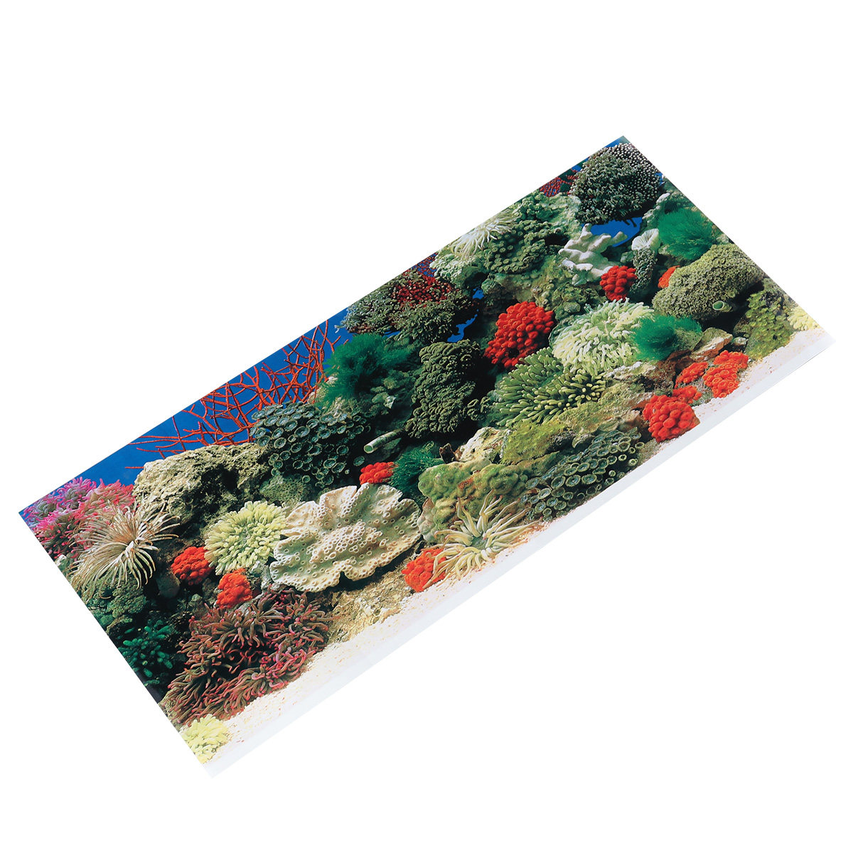 Naklejka na tło do akwarium, s – Aquarium Fish Wallpaper recenzja i cena