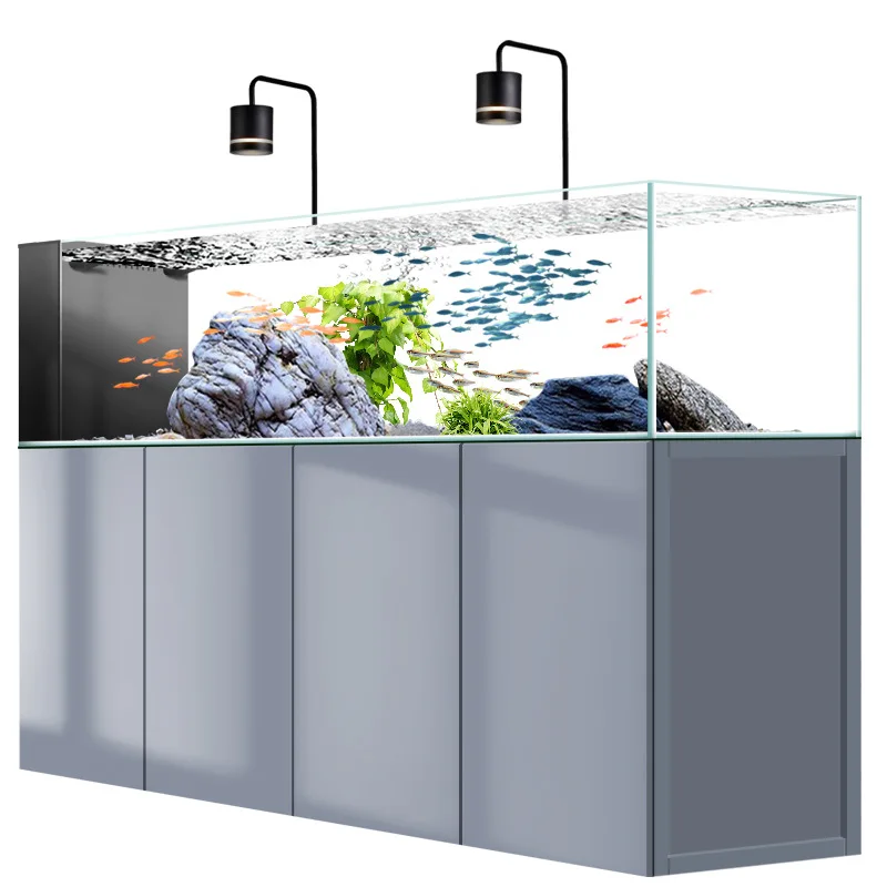 Akwarium strumieniowe, akwariu – Wild Aquarium Fish recenzja i cena