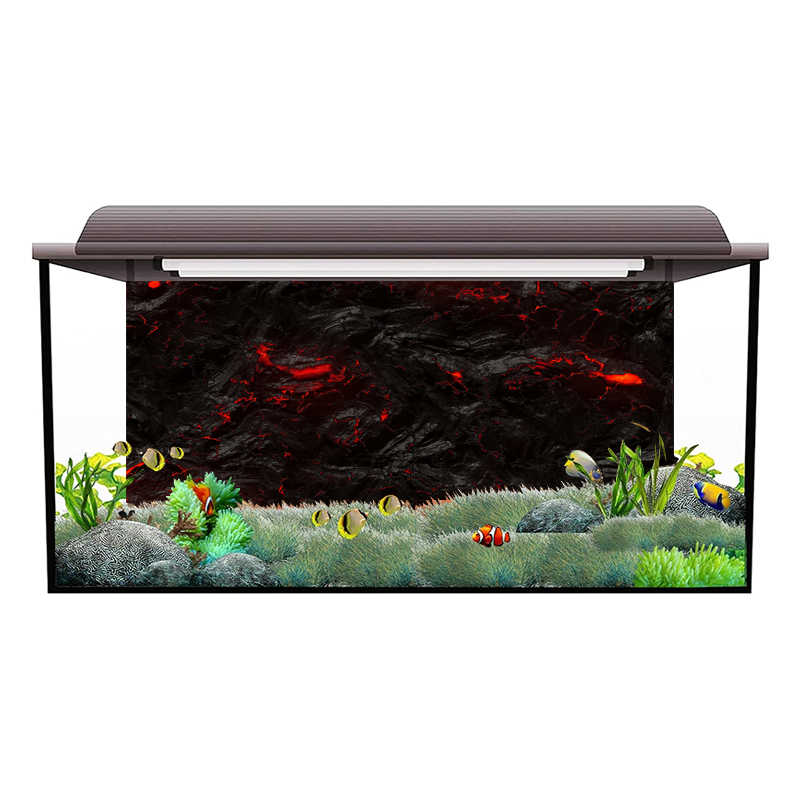 Naklejka na ścianę akwarium z  – Aquarium Fish Wallpaper Hd recenzja i cena