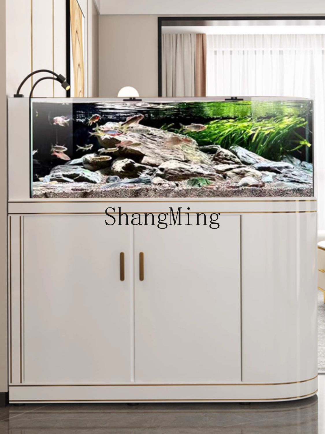 Akwarium FG Light Luxury z zak – Wild Aquarium Fish recenzja i cena