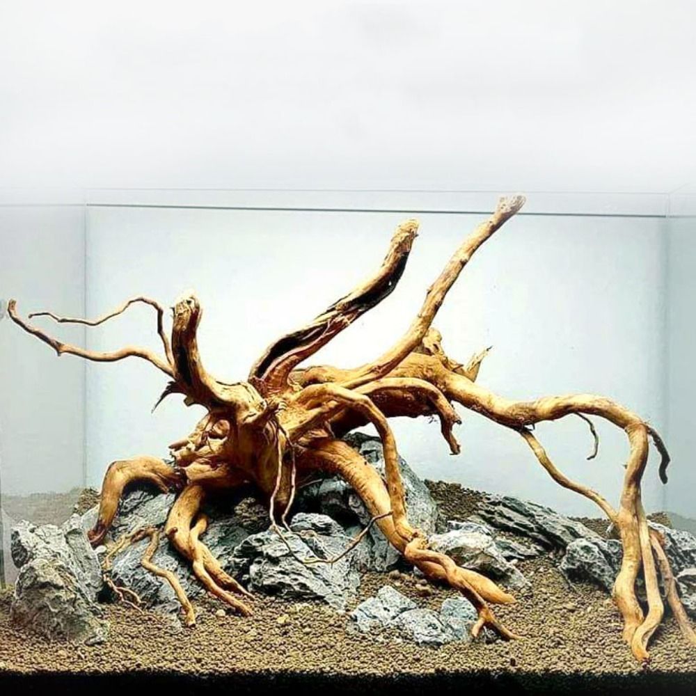 Naturalne drzewo pnia dekoracj – Aquarium Fish Only recenzja i cena