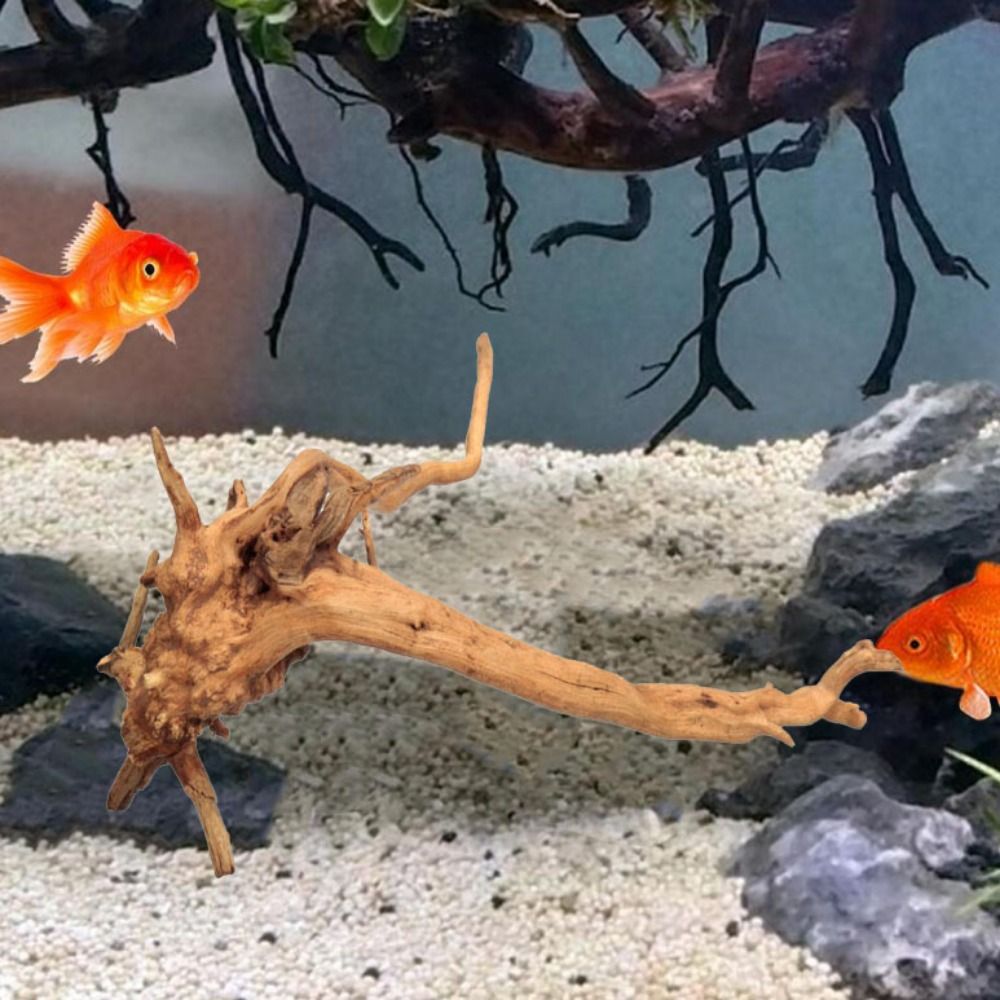 Naturalne drzewo pnia dekoracj – Aquarium Fish Only recenzja i cena