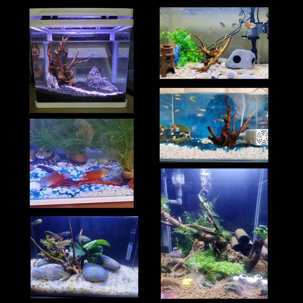 Naturalne drzewo pnia dekoracj – Aquarium Fish Only recenzja i cena