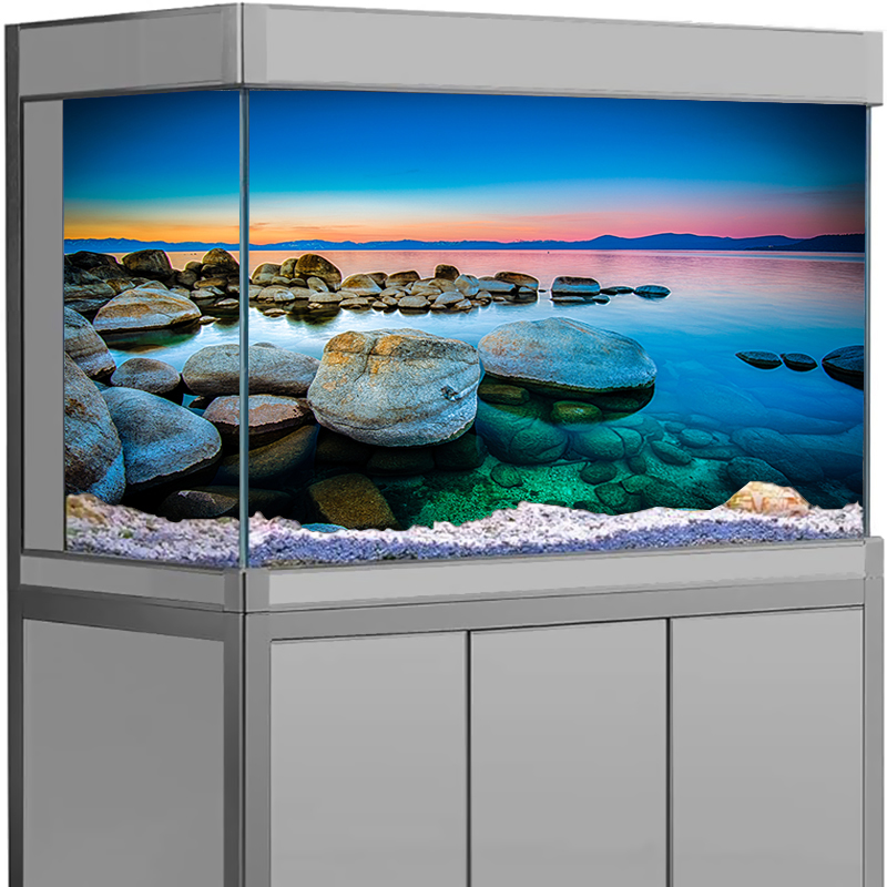 Naklejka na tło akwarium Kamie – Aquarium Fish Wallpaper recenzja i cena