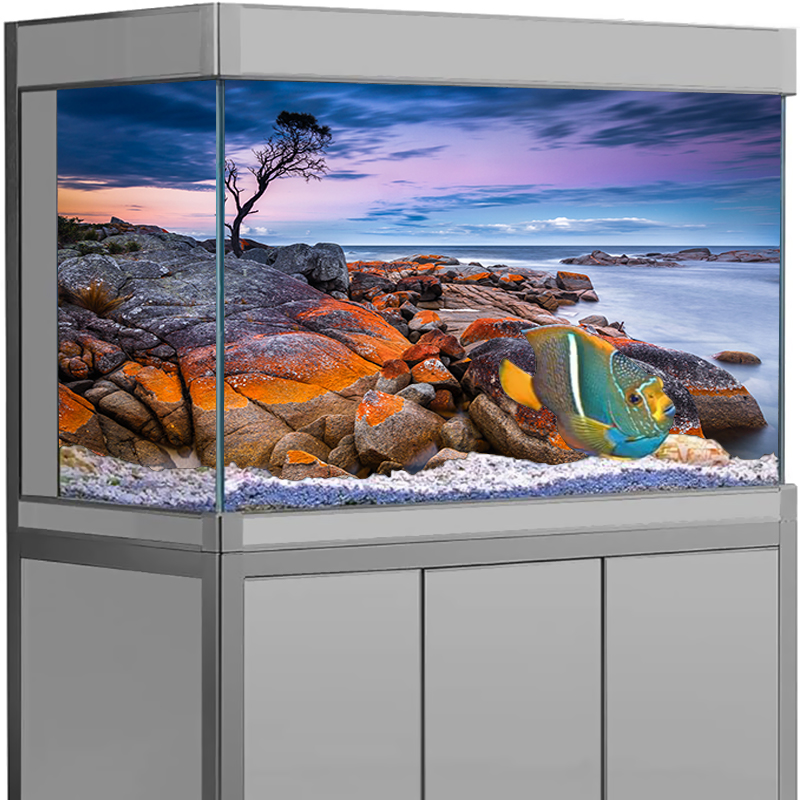 Naklejka na tło akwarium Kamie – Aquarium Fish Wallpaper recenzja i cena