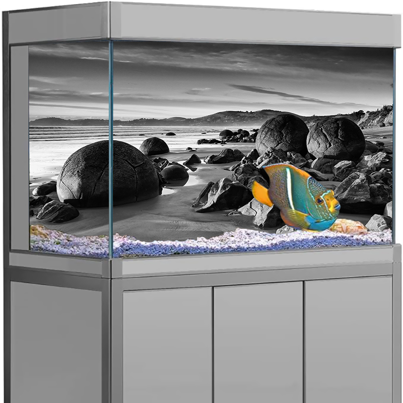 Naklejka na tło akwarium Kamie – Aquarium Fish Wallpaper recenzja i cena