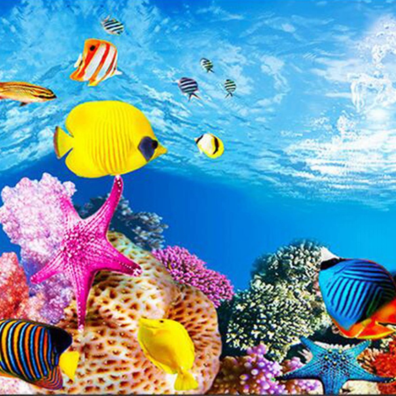 Papier do akwarium BAAU, tło a – Aquarium Fish Wallpaper Hd recenzja i cena