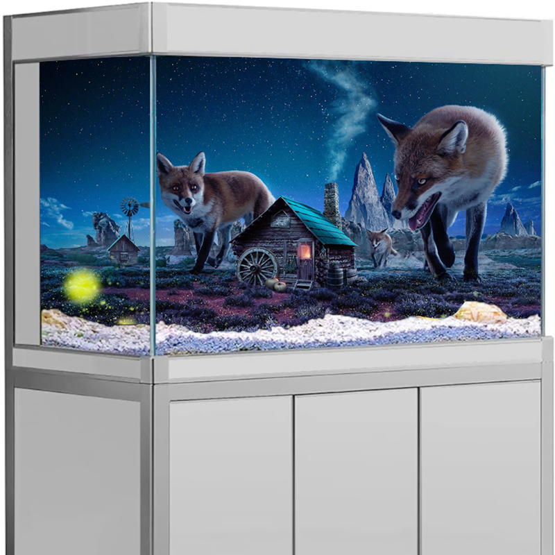 Naklejka na tło akwarium - Mis – Aquarium Fish Wallpaper recenzja i cena