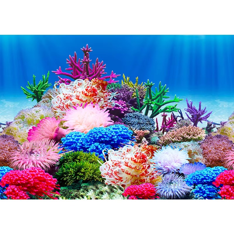 Dekoracja do akwarium 50 cm, w – Aquarium Fish Wallpaper recenzja i cena