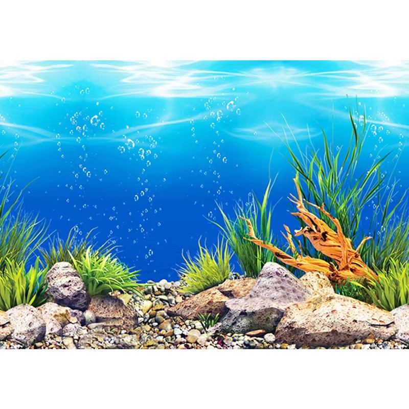 Dekoracja do akwarium 50 cm, w – Aquarium Fish Wallpaper recenzja i cena