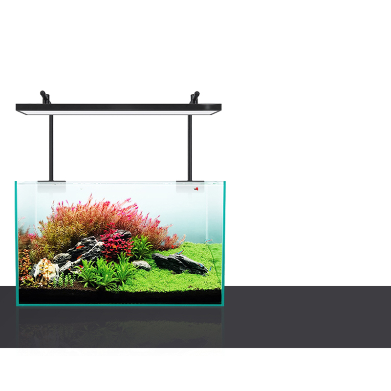 Oświetlenie LED 60cm 80cm 90cm – Aquarium Fish For Sale recenzja i cena