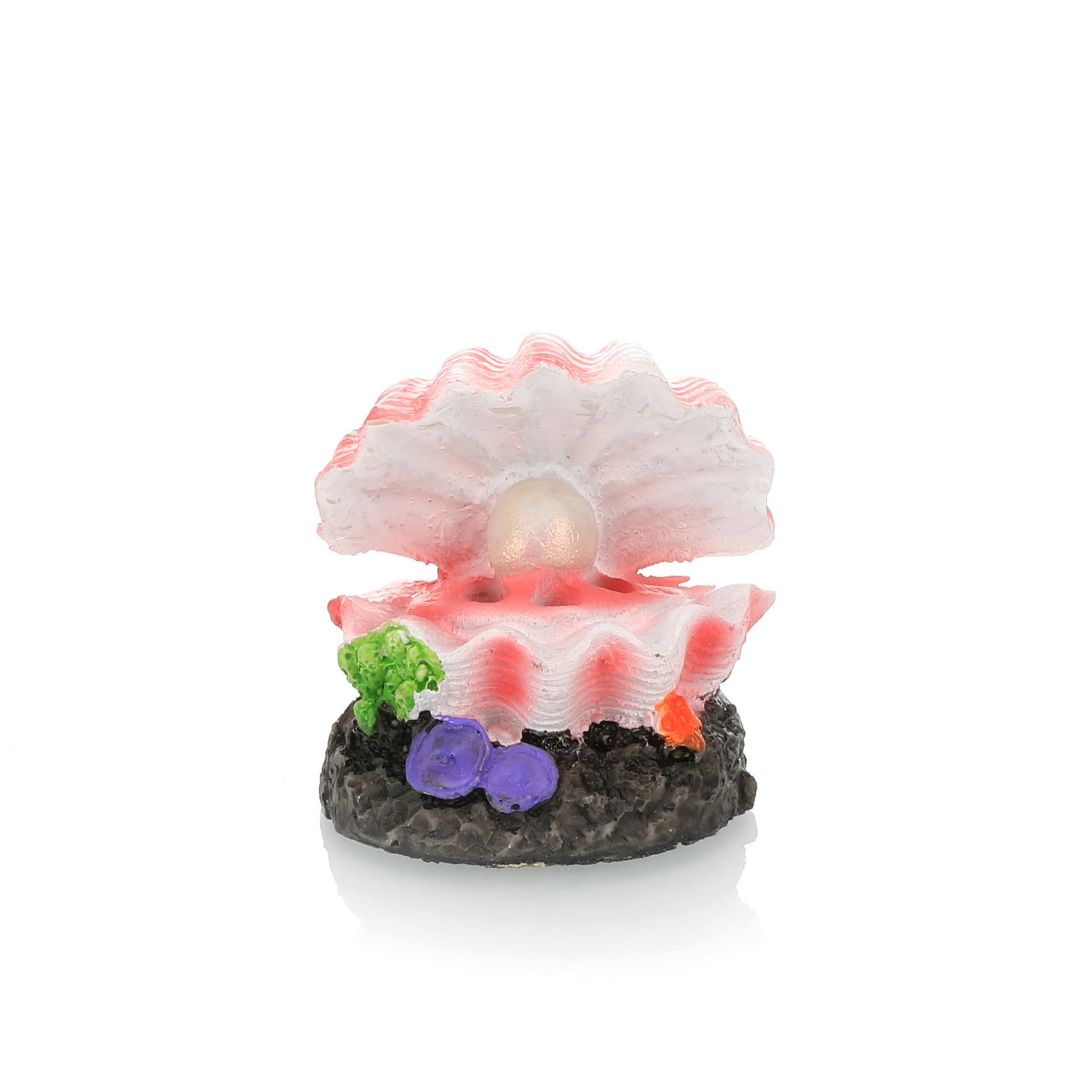 Symulacja krajobrazu akwarium, – Aquarium Fish Only recenzja i cena