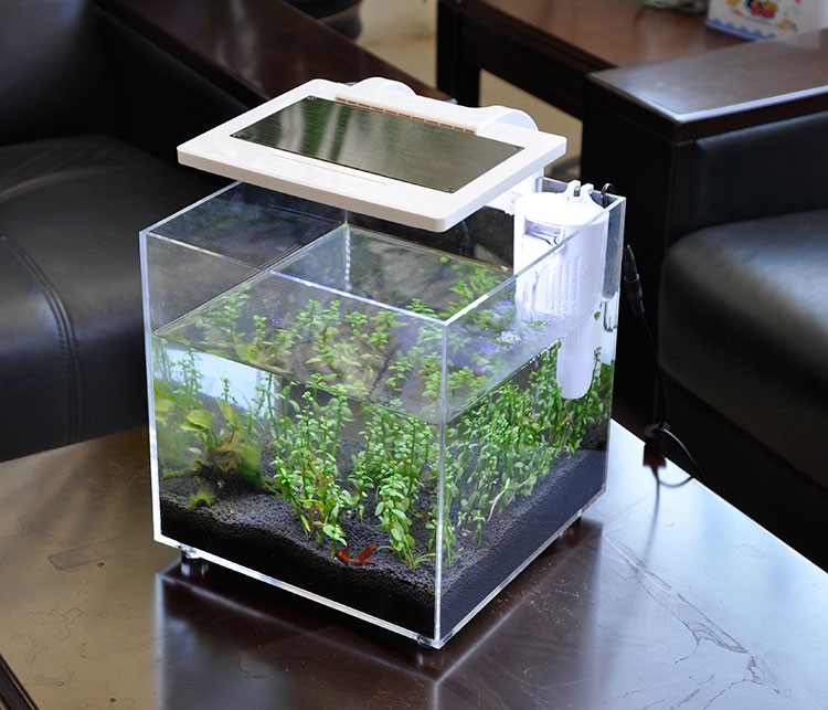 Mini Akrylowe Akwarium (25*25* – Aquarium Fish For Sale recenzja i cena