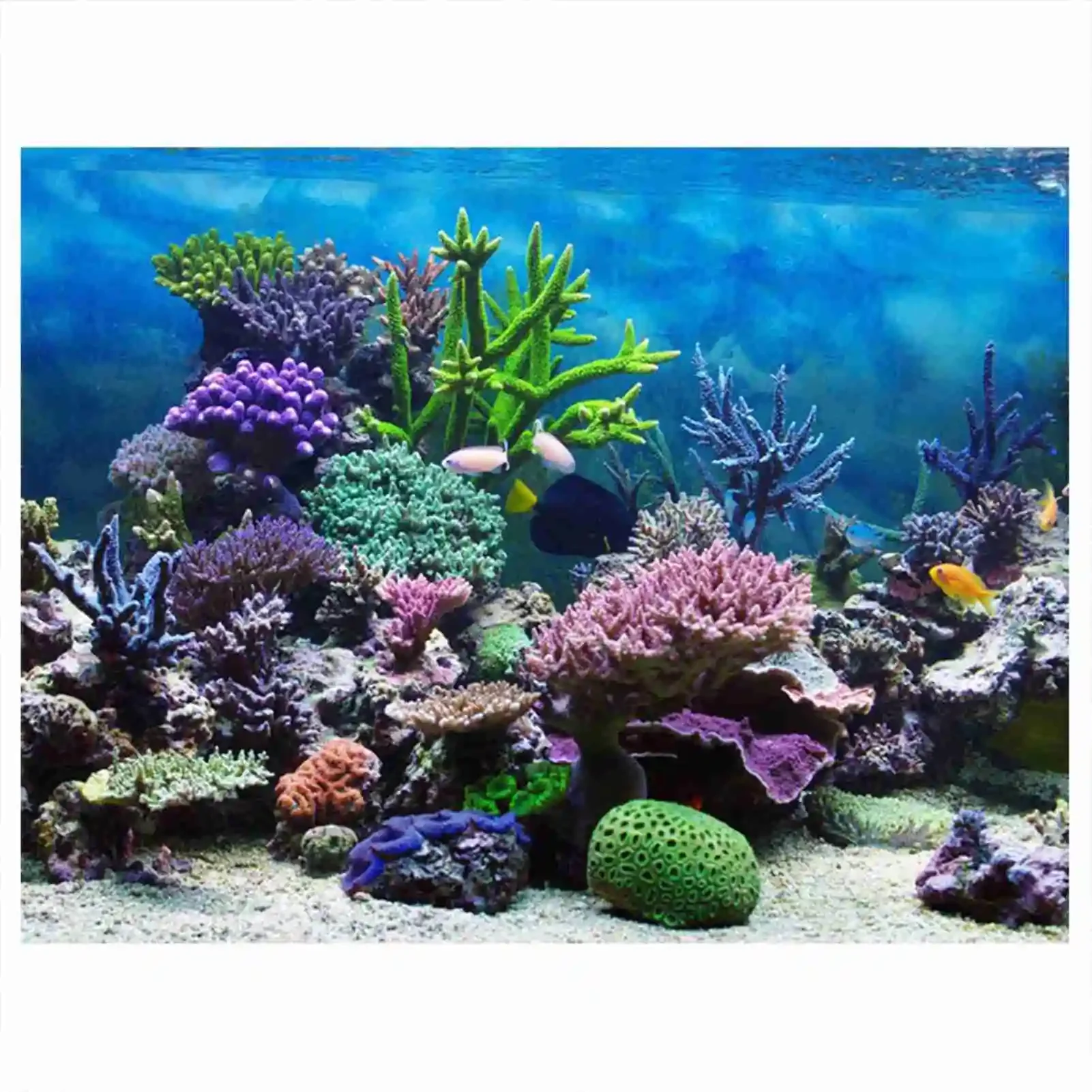 3D plakat krajobraz akwarium l – Aquarium Fish Wallpaper recenzja i cena