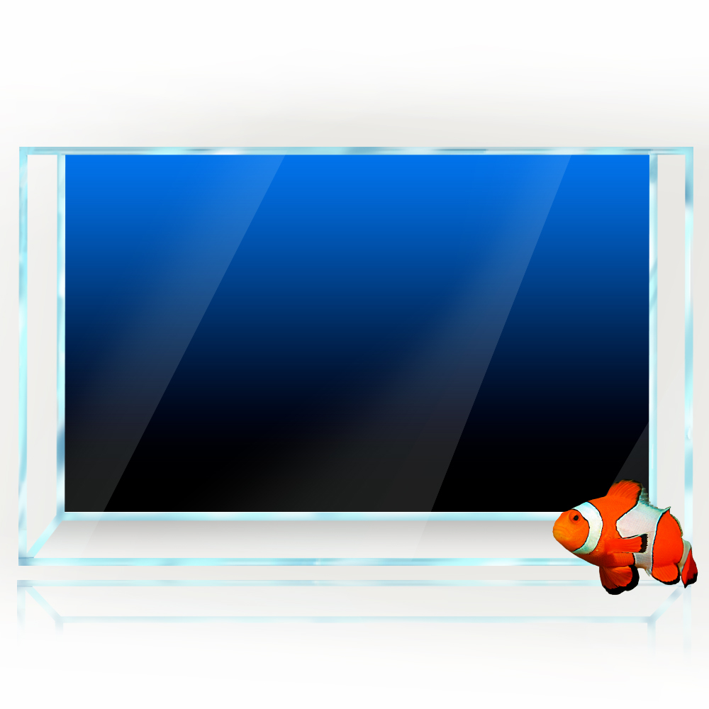Naklejka w tle akwarium Czarny – Aquarium Fish Wallpaper recenzja i cena
