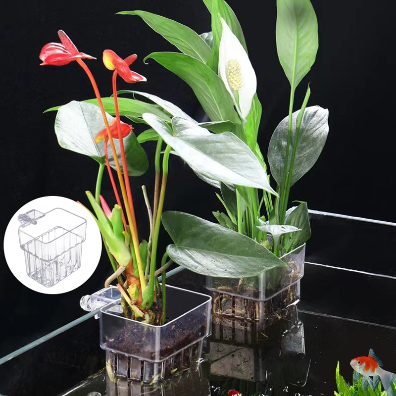 Wielofunkcyjny akwarium dla ry – Aquarium Fish Breeding recenzja i cena