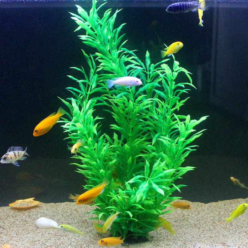 50CM sztuczne akwarium rzadkie – Aquarium Fish Only recenzja i cena