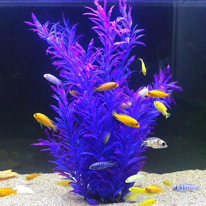 50CM sztuczne akwarium rzadkie – Aquarium Fish Only recenzja i cena