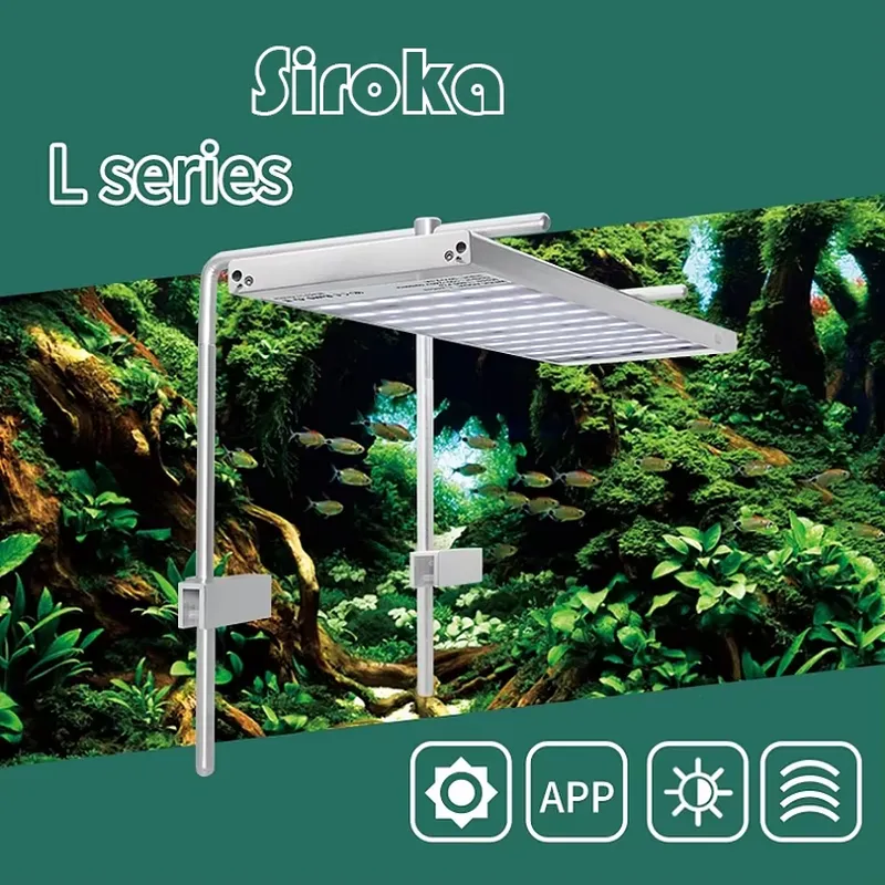 Gorąca Wyprzedaż Srebrna Lampa – Aquarium Fish For Sale recenzja i cena