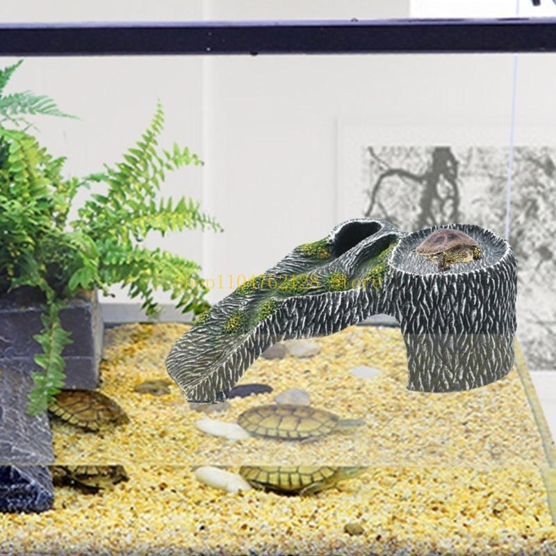 Terraria Platforma wygrzewając – Aquarium Fish For Sale recenzja i cena