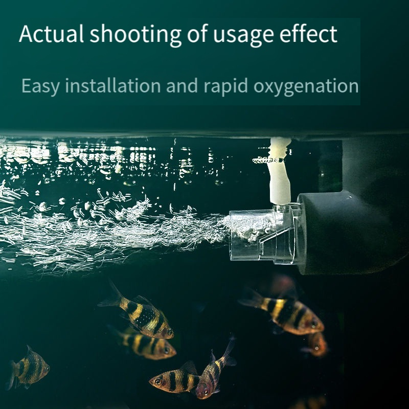 Rura dyfuzora tlenu z filtrem  – Aquarium Fish Without Oxygen recenzja i cena