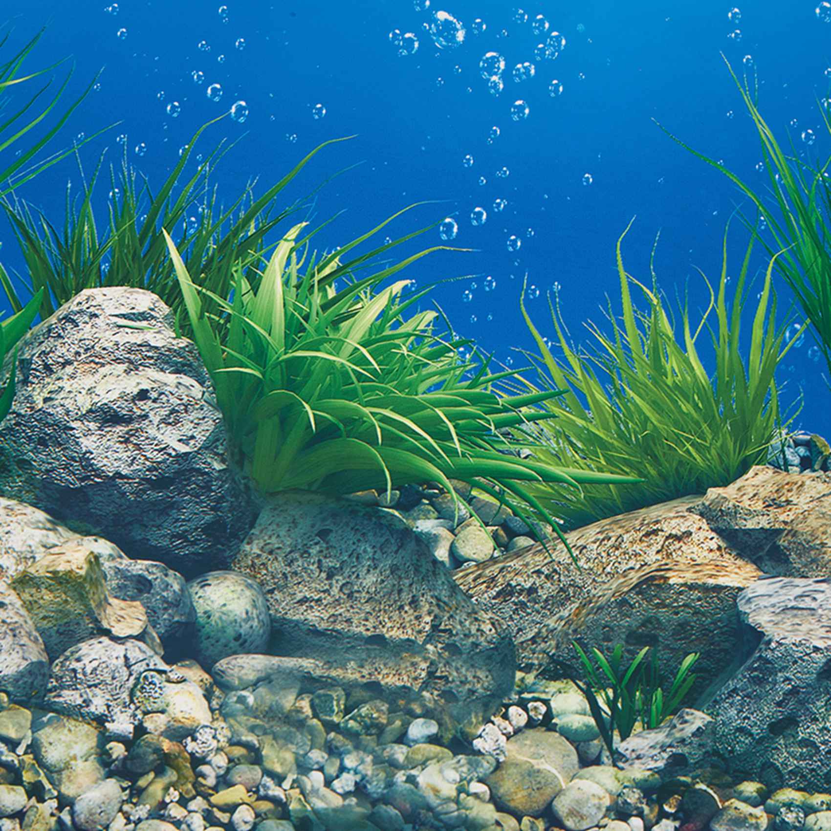 Papier tło do akwarium AS94 HD – Aquarium Fish Wallpaper Hd recenzja i cena