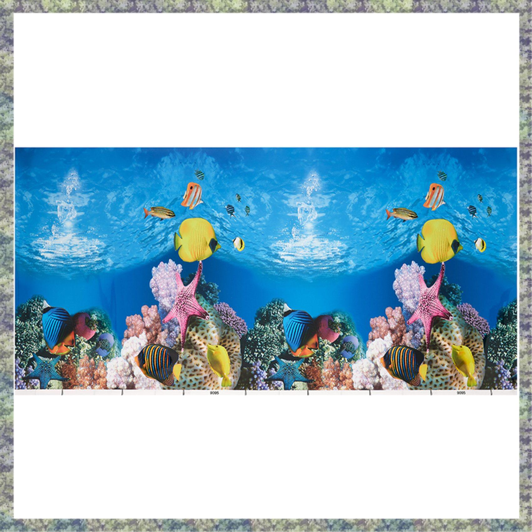 WON akwarium papier informacyj – Aquarium Fish Wallpaper Hd recenzja i cena