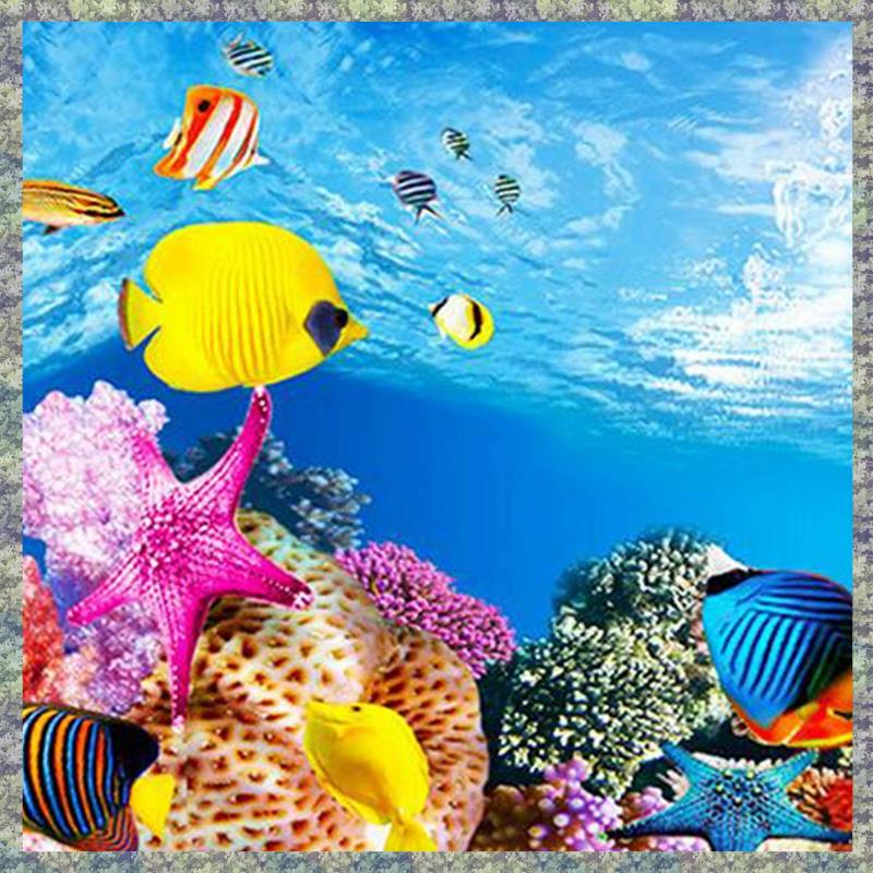 WON akwarium papier informacyj – Aquarium Fish Wallpaper Hd recenzja i cena