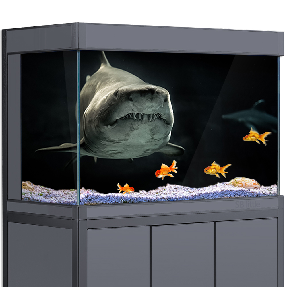 Tło akwarium 3D rekin czarne c – Aquarium Fish Wallpaper Hd recenzja i cena